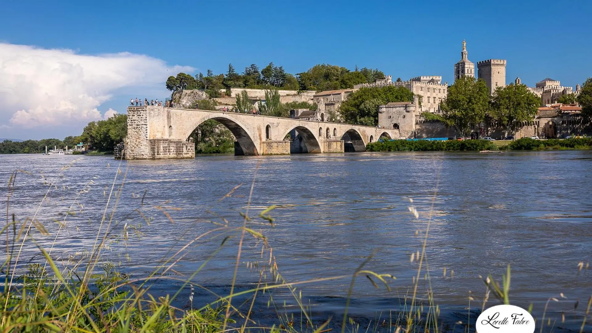 Avignon Intra-Muros, Vue Palais Des Papes